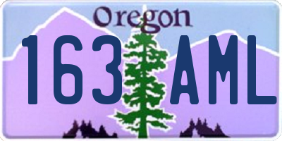 OR license plate 163AML