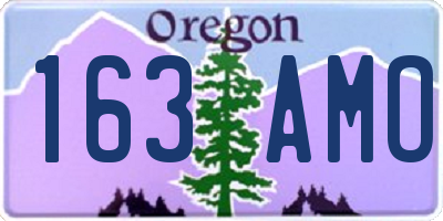 OR license plate 163AMO