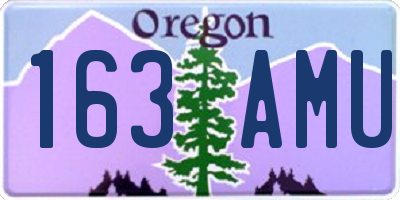 OR license plate 163AMU