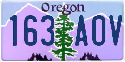 OR license plate 163AOV