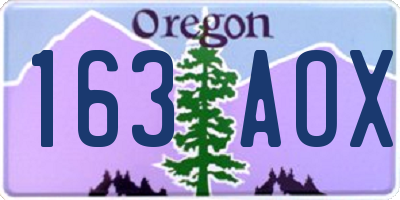 OR license plate 163AOX