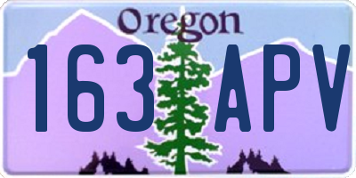 OR license plate 163APV