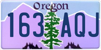 OR license plate 163AQJ