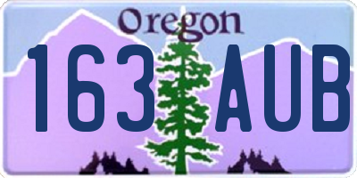 OR license plate 163AUB