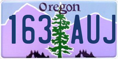OR license plate 163AUJ
