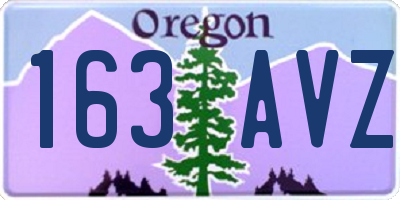 OR license plate 163AVZ