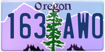 OR license plate 163AWO
