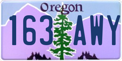 OR license plate 163AWY