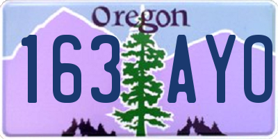 OR license plate 163AYO
