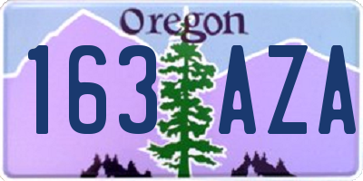 OR license plate 163AZA