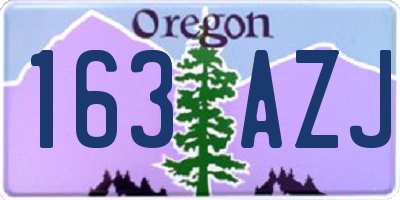 OR license plate 163AZJ