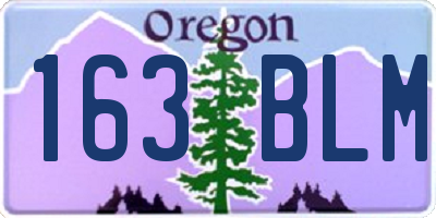 OR license plate 163BLM