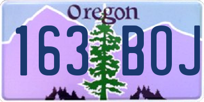 OR license plate 163BOJ