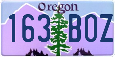 OR license plate 163BOZ