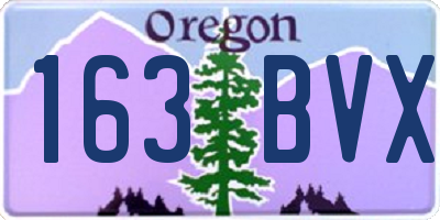 OR license plate 163BVX