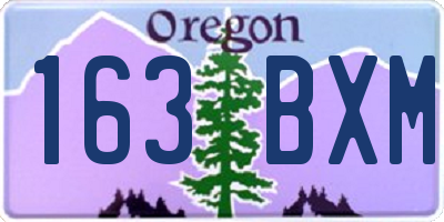 OR license plate 163BXM