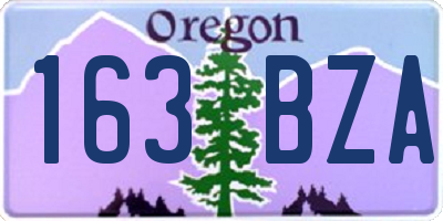 OR license plate 163BZA