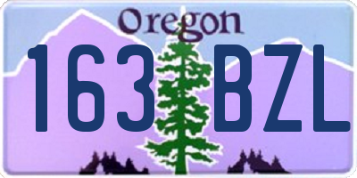 OR license plate 163BZL