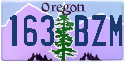 OR license plate 163BZM