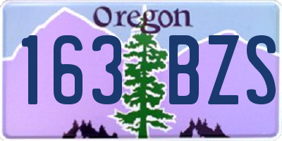 OR license plate 163BZS