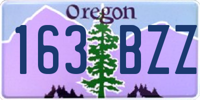 OR license plate 163BZZ