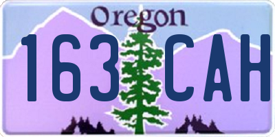 OR license plate 163CAH