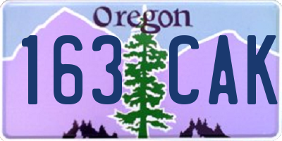 OR license plate 163CAK