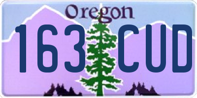 OR license plate 163CUD