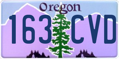 OR license plate 163CVD