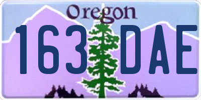 OR license plate 163DAE