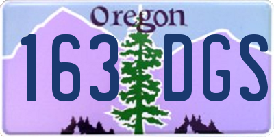 OR license plate 163DGS