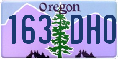 OR license plate 163DHO