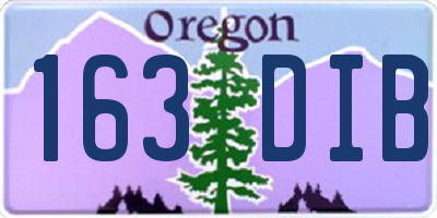 OR license plate 163DIB