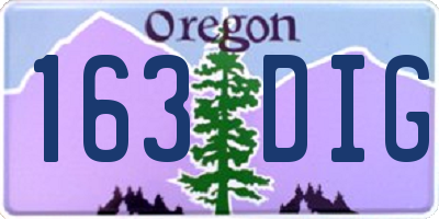OR license plate 163DIG