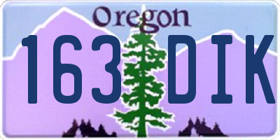 OR license plate 163DIK
