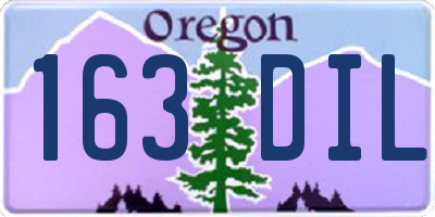 OR license plate 163DIL