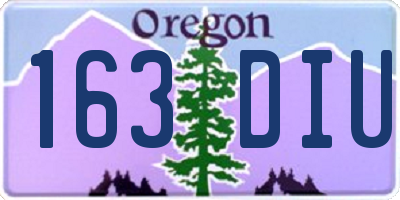 OR license plate 163DIU