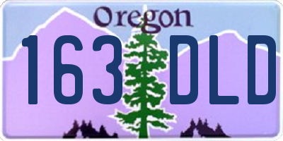 OR license plate 163DLD