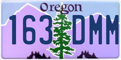 OR license plate 163DMM