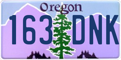 OR license plate 163DNK