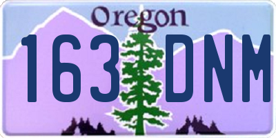 OR license plate 163DNM