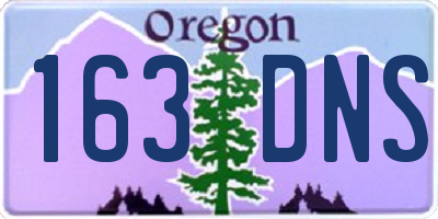 OR license plate 163DNS