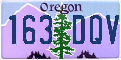 OR license plate 163DQV