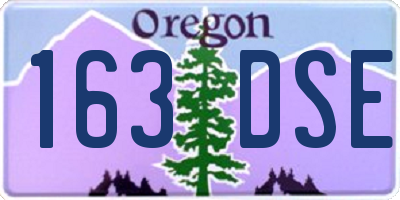 OR license plate 163DSE