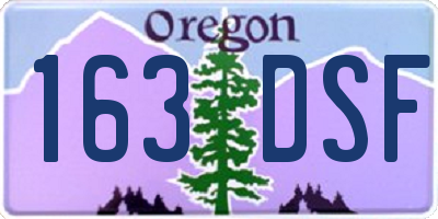 OR license plate 163DSF