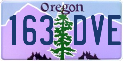OR license plate 163DVE
