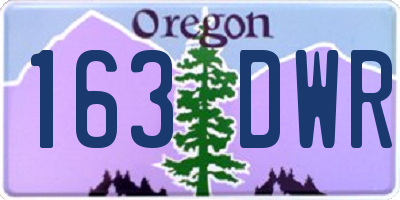 OR license plate 163DWR