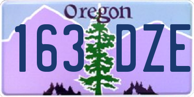 OR license plate 163DZE