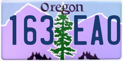 OR license plate 163EAO