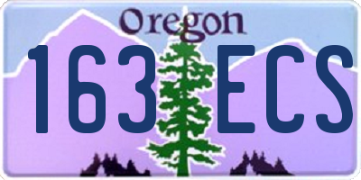OR license plate 163ECS